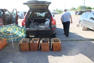 Panevėžyse linnuturg 27.06.2020