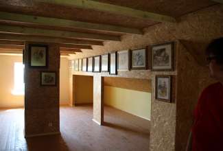 Raiba-Plunksna-linnupargi-kulastus-10