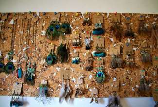 Raiba-Plunksna-linnupargi-kulastus-12