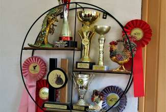 Raiba-Plunksna-linnupargi-kulastus-14