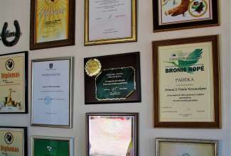 Raiba-Plunksna-linnupargi-kulastus-15