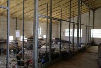 Raiba-Plunksna-linnupargi-kulastus-33