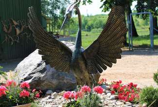 Raiba-Plunksna-linnupargi-kulastus-36