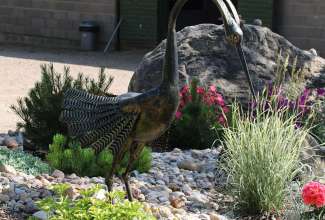 Raiba-Plunksna-linnupargi-kulastus-37