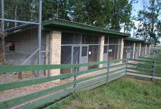 Raiba-Plunksna-linnupargi-kulastus-38