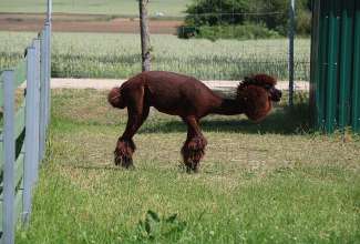 Raiba-Plunksna-linnupargi-kulastus-42