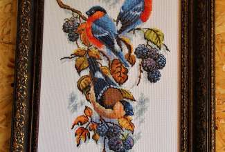 Raiba-Plunksna-linnupargi-kulastus-5