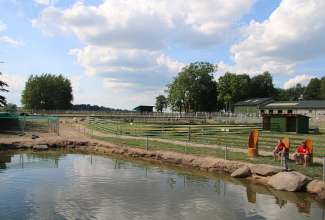 Raiba-Plunksna-linnupargi-kulastus-56