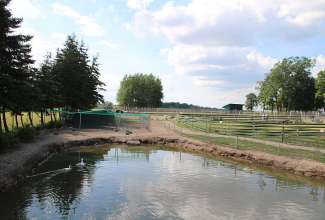 Raiba-Plunksna-linnupargi-kulastus-57