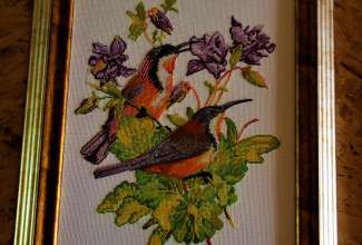 Raiba-Plunksna-linnupargi-kulastus-6