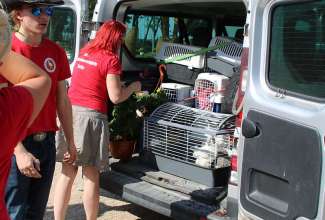 Raiba-Plunksna-linnupargi-kulastus-63