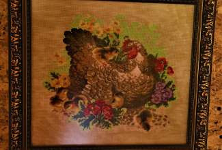 Raiba-Plunksna-linnupargi-kulastus-7