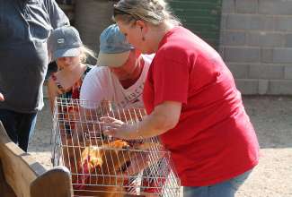 Raiba-Plunksna-linnupargi-kulastus-72