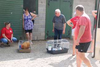 Raiba-Plunksna-linnupargi-kulastus-73