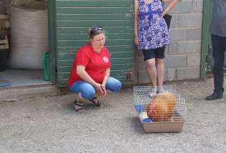 Raiba-Plunksna-linnupargi-kulastus-74