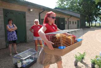 Raiba-Plunksna-linnupargi-kulastus-76