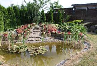 Raiba-Plunksna-linnupargi-kulastus-78