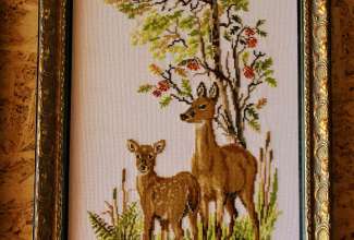 Raiba-Plunksna-linnupargi-kulastus-8