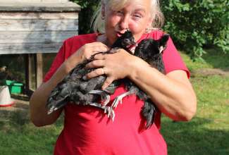 Raiba-Plunksna-linnupargi-kulastus-82