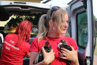 Raiba-Plunksna-linnupargi-kulastus-87