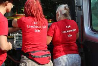 Raiba-Plunksna-linnupargi-kulastus-89