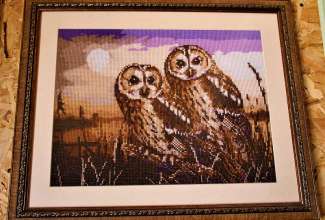 Raiba-Plunksna-linnupargi-kulastus-9