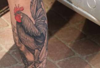 Raiba-Plunksna-linnupargi-kulastus-93