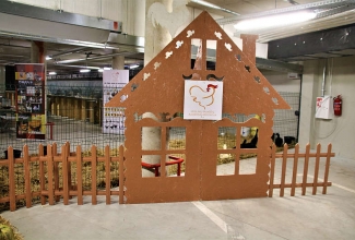 Šiauliai kodulindude ja küülikute näitus 2020