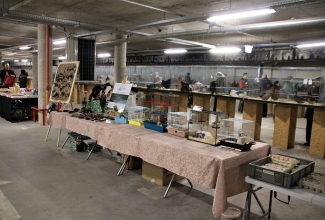 Šiauliai kodulindude ja küülikute näitus 2020