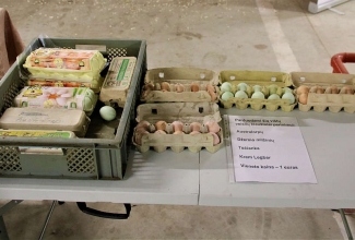 Šiauliai kodulindude ja küülikute näitus 2020