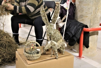 Šiauliai kodulindude ja küülikute näitus 2020