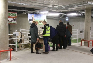 Šiauliai kodulindude ja küülikute näitus 2020