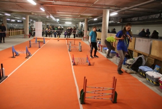 Šiauliai kodulindude ja küülikute näitus 2020