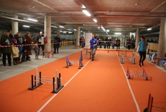 Šiauliai kodulindude ja küülikute näitus 2020