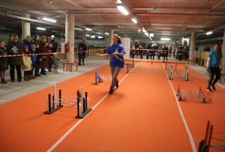 Šiauliai kodulindude ja küülikute näitus 2020