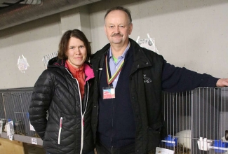 Šiauliai kodulindude ja küülikute näitus 2020