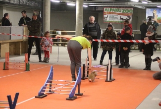 Šiauliai kodulindude ja küülikute näitus 2020