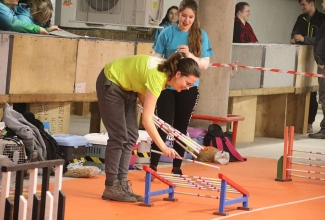 Šiauliai kodulindude ja küülikute näitus 2020