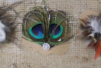 Šiauliai kodulindude ja küülikute näitus 2020