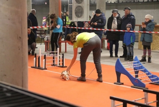 Šiauliai kodulindude ja küülikute näitus 2020