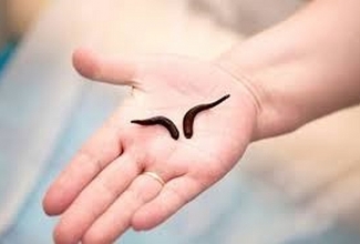 Foto: https://www.pictame.com/tag/kaanid