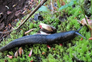 Foto: http://nagi.ee/photos/eneken5/10876773