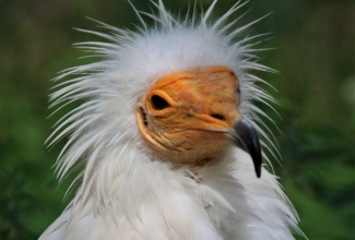 Tallinna loomaaia külastus, foto Estfarm