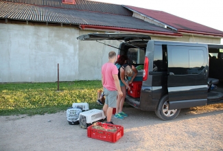 Ostureis 2018 suvi, foto Estfarm