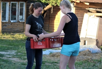 Ostureis 2018 suvi, foto Estfarm