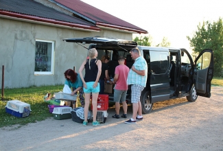 Ostureis 2018 suvi, foto Estfarm