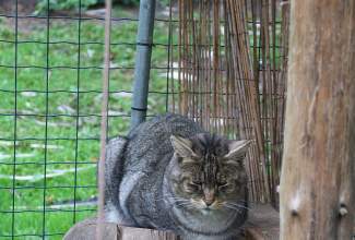 Veelinnu-koolitus-praktiline-päev-Eino-Roosioksa-juures-15.09-19