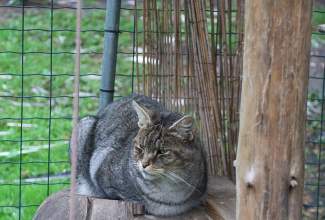 Veelinnu-koolitus-praktiline-päev-Eino-Roosioksa-juures-15.09-20