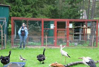 Veelinnu-koolitus-praktiline-päev-Eino-Roosioksa-juures-15.09-24