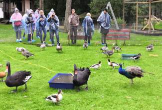 Veelinnu-koolitus-praktiline-päev-Eino-Roosioksa-juures-15.09-36